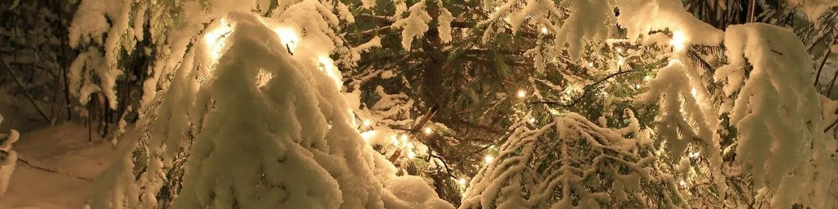 Новый год – новые возможности: коттеджный поселок МОХ – лучшее решение для жизни на природе! Новый год – новые возможности: коттеджный поселок МОХ – лучшее решение для жизни на природе!